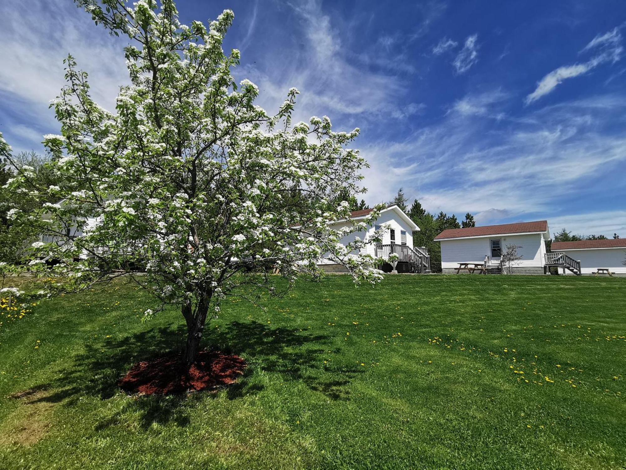 Saint Louis de Kent L'Ancrage B&B And Cottages מראה חיצוני תמונה